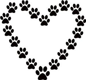 Heart of paws