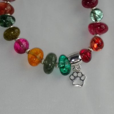 Buy Rainbow Bridge Bracelet with Paw Charm Online - Humane Drum